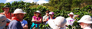 Syl Travel Costa Rica Excursion Transfers  Coffee Tour And La Paz Waterfall